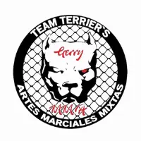 Team terriers cliente Nexicode